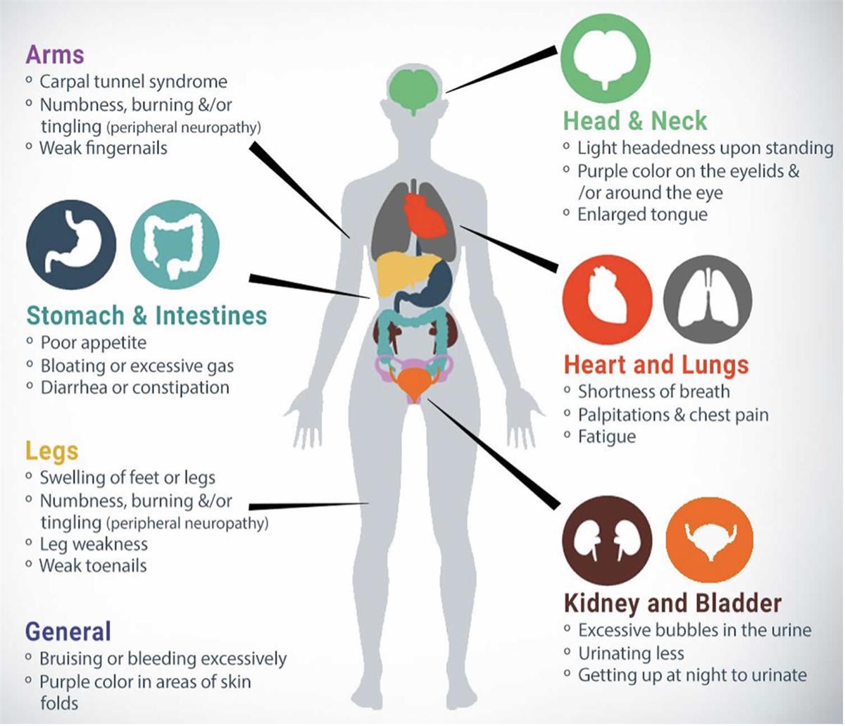 Image showing places on the body in addition to the heart where amyloidosis presents itself